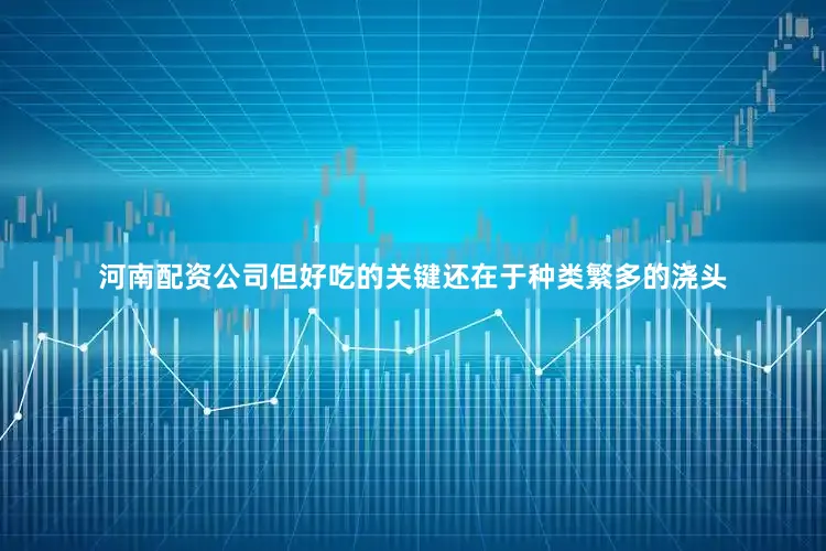 河南配资公司但好吃的关键还在于种类繁多的浇头