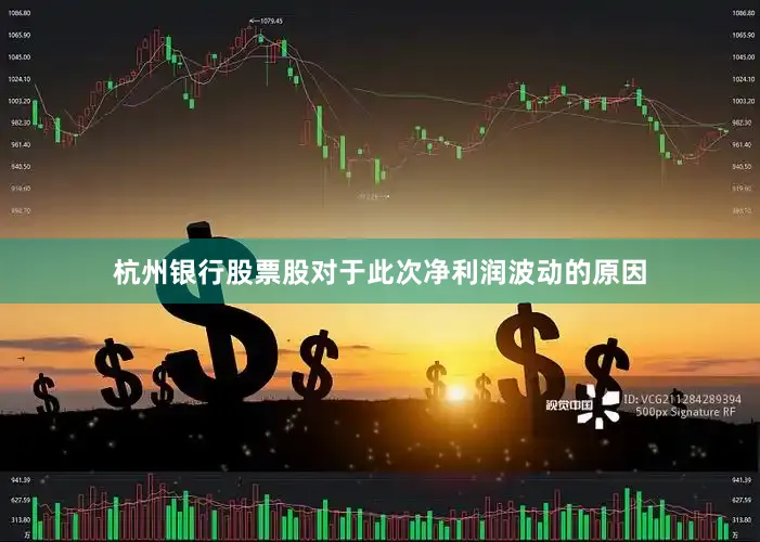 杭州银行股票股对于此次净利润波动的原因