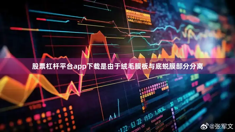 股票杠杆平台app下载是由于绒毛膜板与底蜕膜部分分离